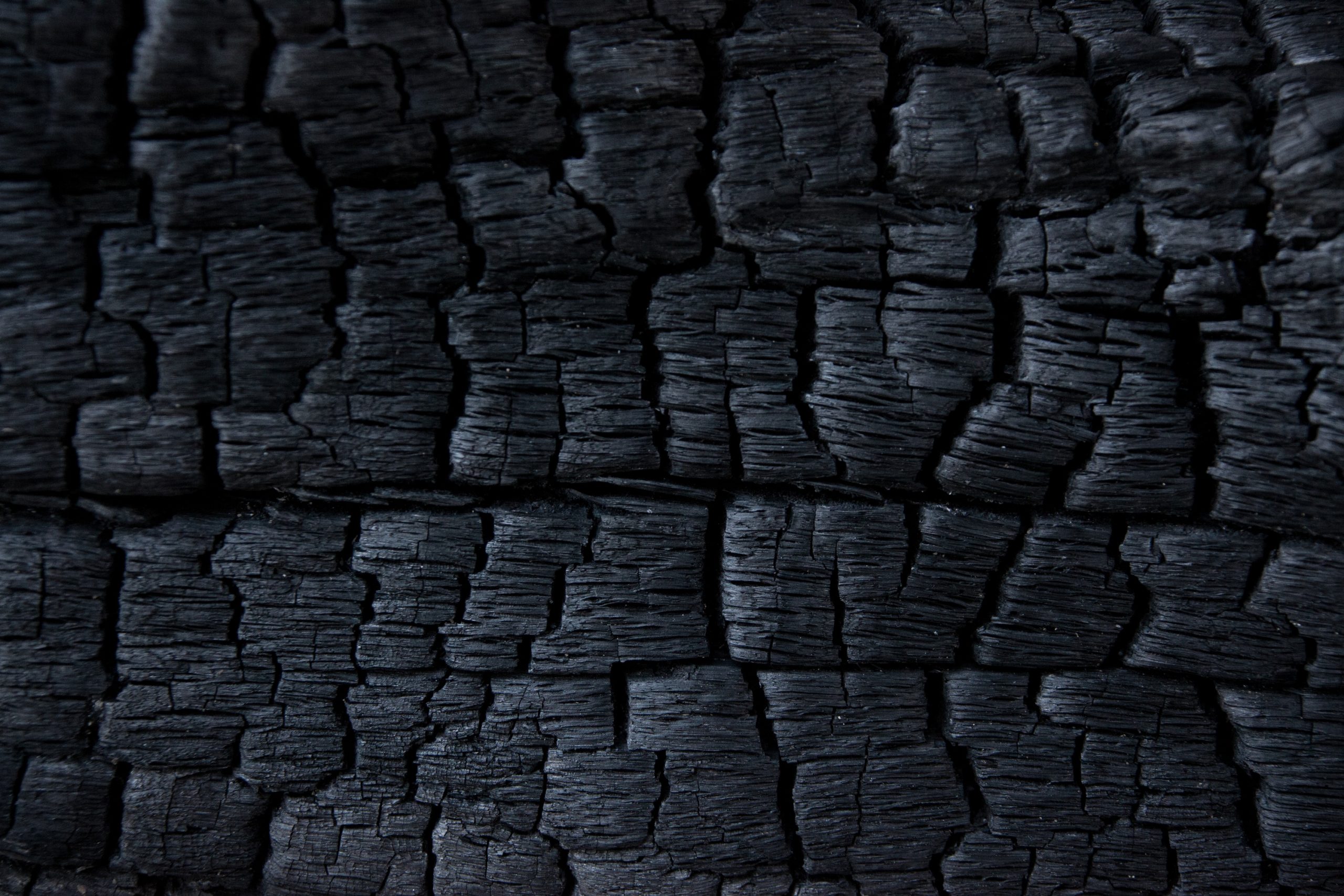 charcoal 84670 scaled charcoal 84670 scaled Biochar | Participation | Sustainability | BionerG