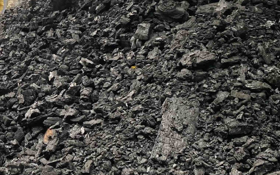 Why UK National Highways Is Already Buying Our ISO-14064 Audited Biochar (And Why America Is Next)